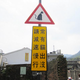 Image for article titled Watch Out for Cats!